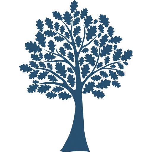 the nursery school company logo